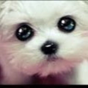 Meet your Posher, Makela